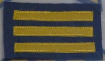 ARP District Warden sleeve rank insignia