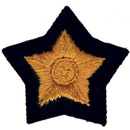 Civil Defence Corps Gold Proficiency Star