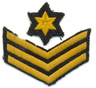 Post Warden  - three chevrons and six-pointed star above.