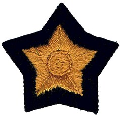 Post-WW2 Civil Defence Corps gold proficiency bounty badge