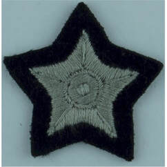 Civil Defence Corps Silver Proficiency Star