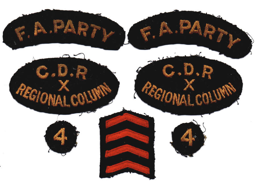 Civil Defence Reserve Regional Column X Unit 4 Insignia