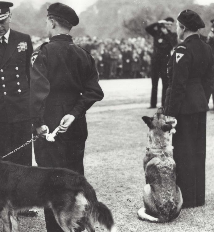 King & Queen inspect Civil Defence dog handlers.