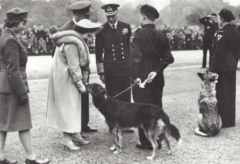 King & Queen inspect Civil Defence dog handlers.